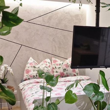 Magic House Apartament Proszowska 58 II Bochnia Εξωτερικό φωτογραφία