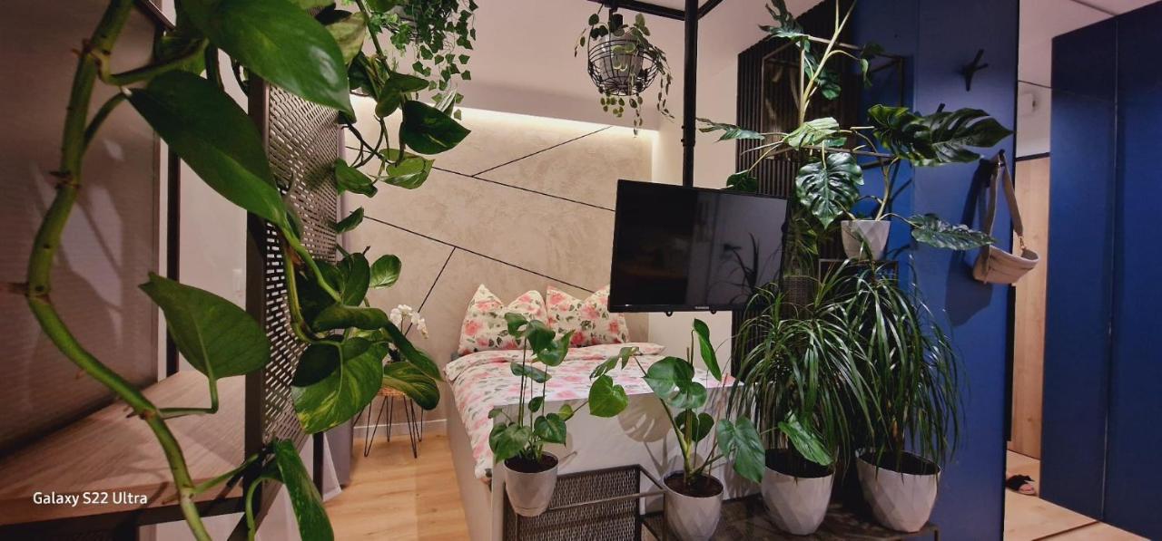 Magic House Apartament Proszowska 58 II Bochnia Εξωτερικό φωτογραφία